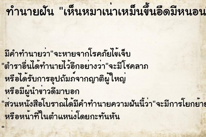 ทำนายฝัน เห็นหมาเน่าเหม็นขึ้นอืดมีหนอนขึ้น วัน